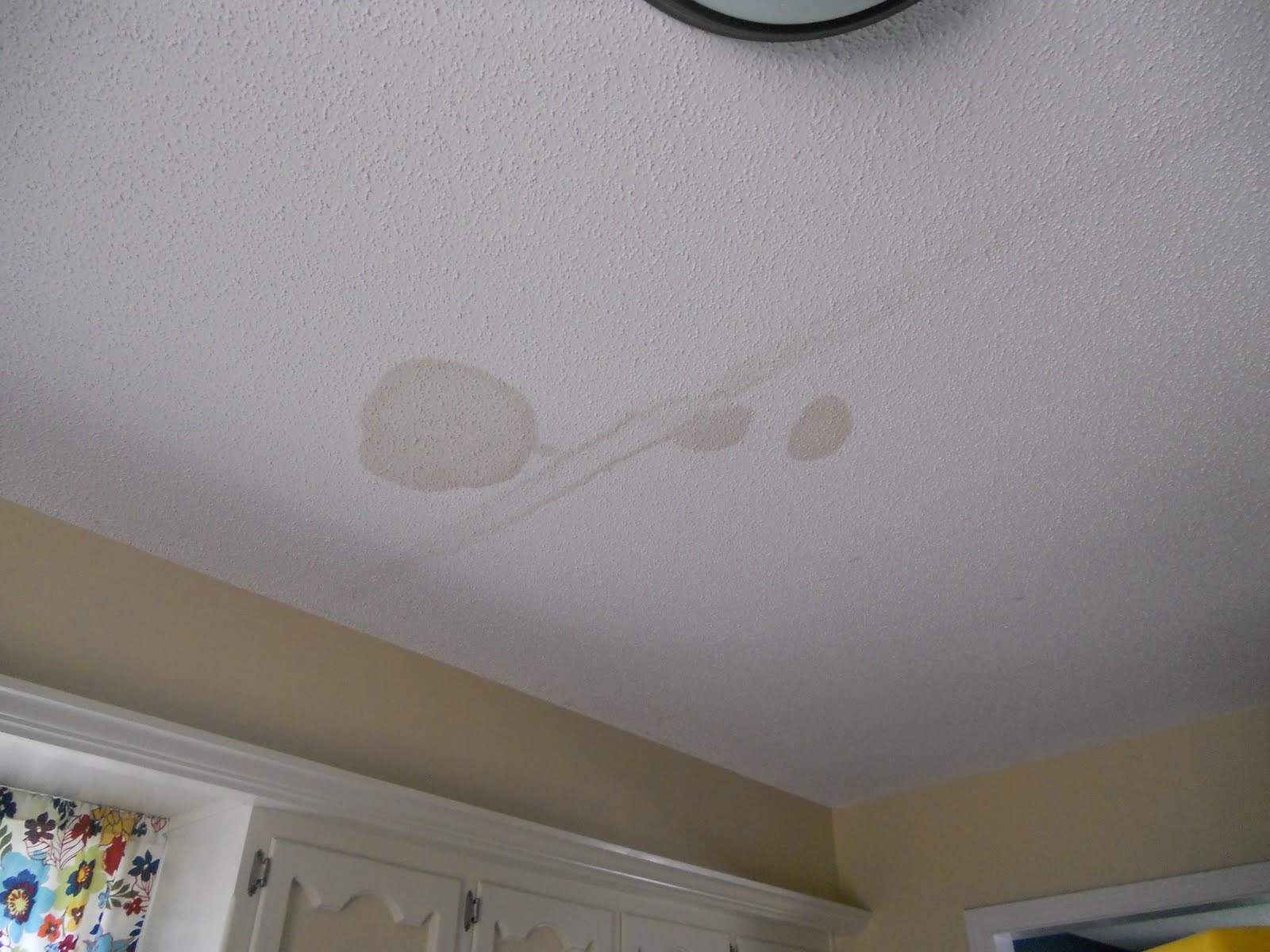 Wauconda Plumber Water Stain On The Ceiling It May Be An