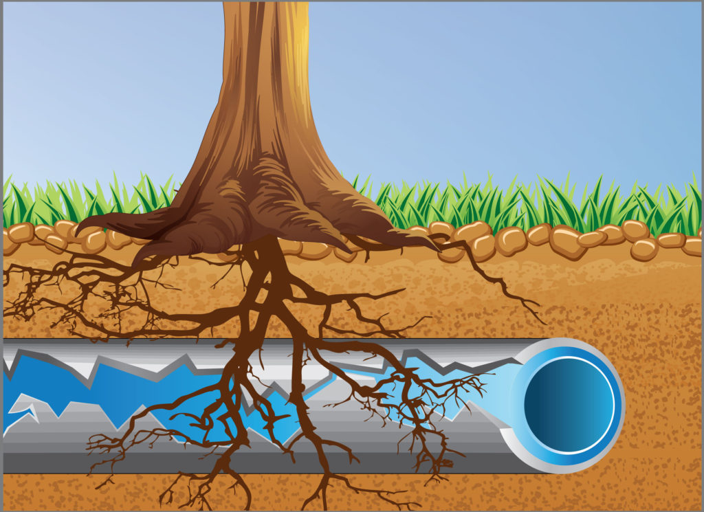 How to Use a Drain Auger - Deer Valley Plumbing